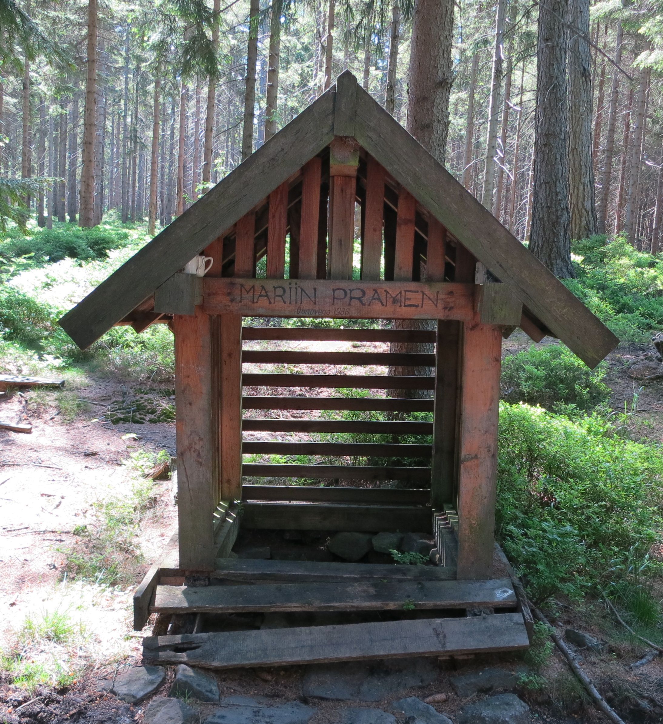 studánka v lesích - někdo odvážný se i napil