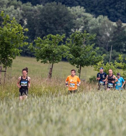 na trati Brdského půlmaratonu