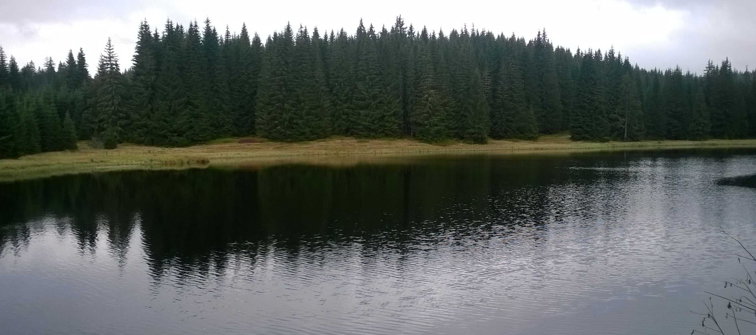 Žďárské jezírko - kouzelná šumava