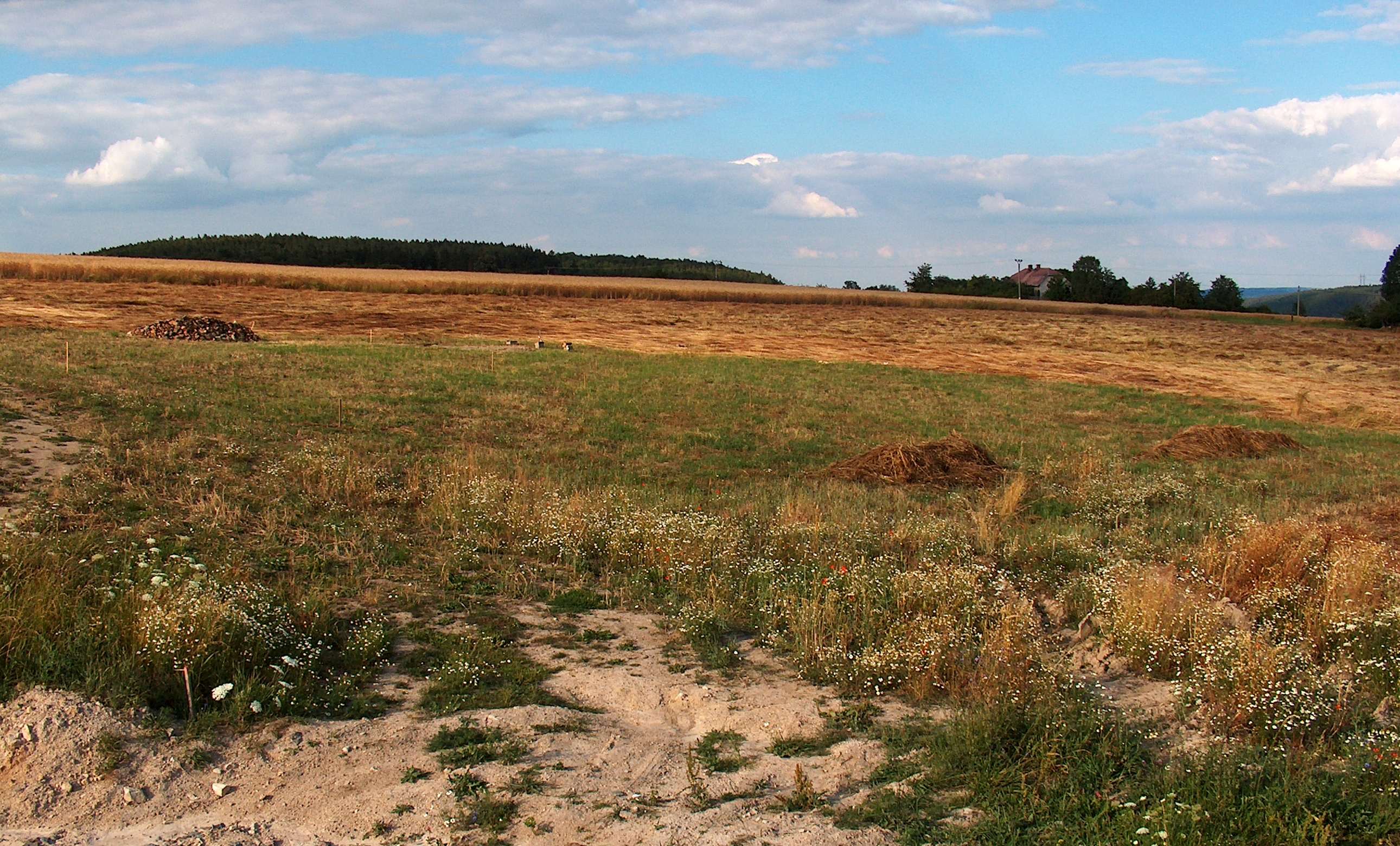 Zahořany 2004