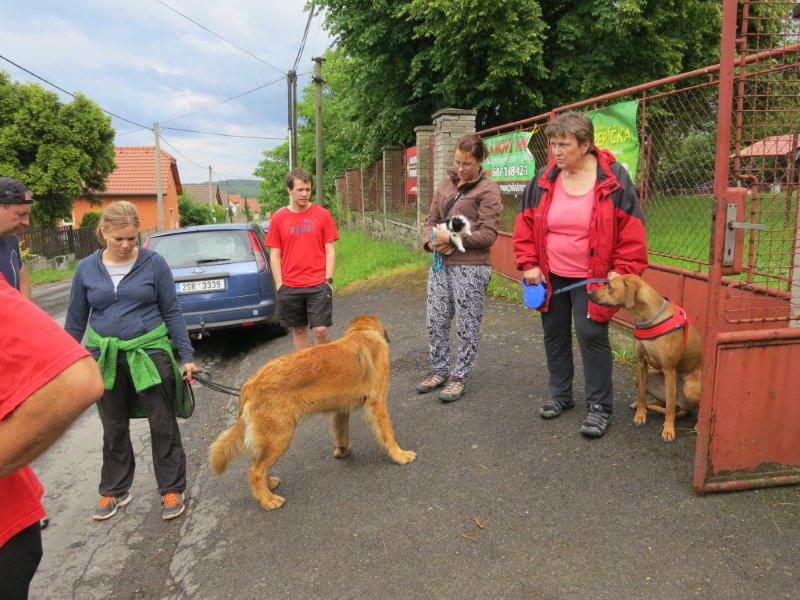 diváci se hrnou do cílového prostoru